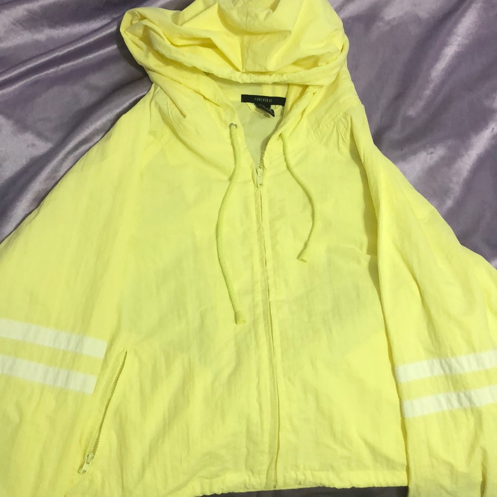 Yellow jacket 🐝